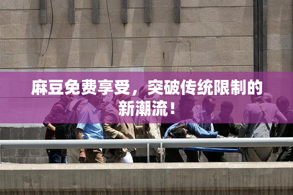麻豆免费享受，突破传统限制的新潮流！