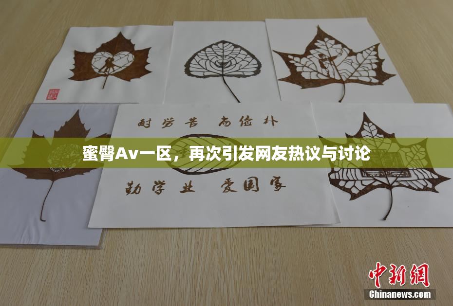 蜜臀Av一区，再次引发网友热议与讨论