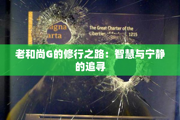 老和尚G的修行之路：智慧与宁静的追寻