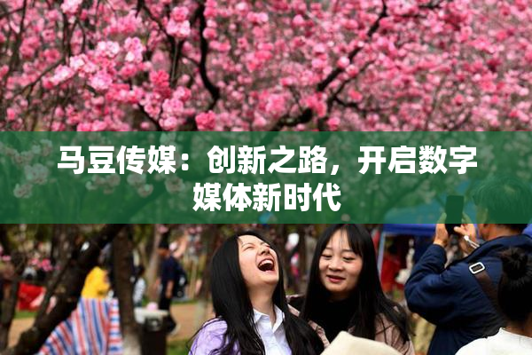 马豆传媒：创新之路，开启数字媒体新时代