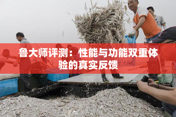 鲁大师评测：性能与功能双重体验的真实反馈