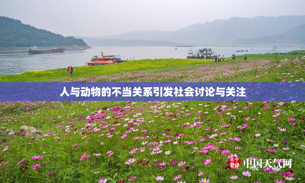 人与动物的不当关系引发社会讨论与关注