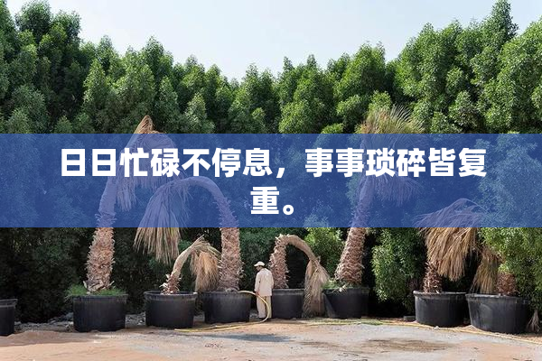 日日忙碌不停息，事事琐碎皆复重。
