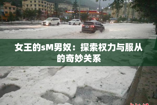 女王的sM男奴：探索权力与服从的奇妙关系