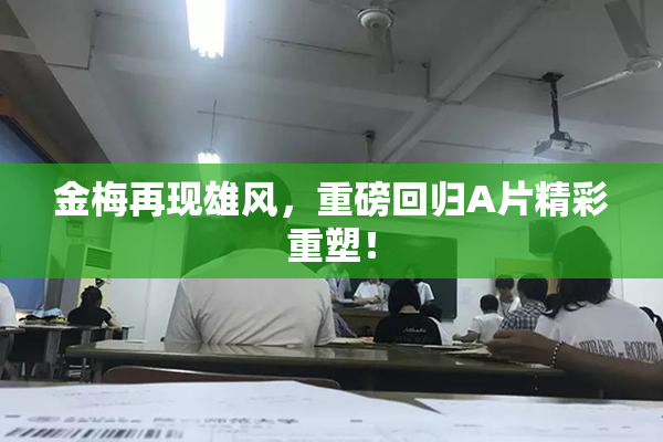金梅再现雄风，重磅回归A片精彩重塑！