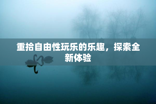 重拾自由性玩乐的乐趣，探索全新体验