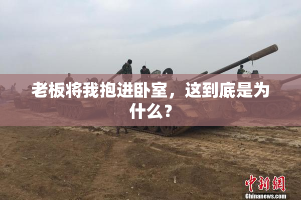 老板将我抱进卧室，这到底是为什么？