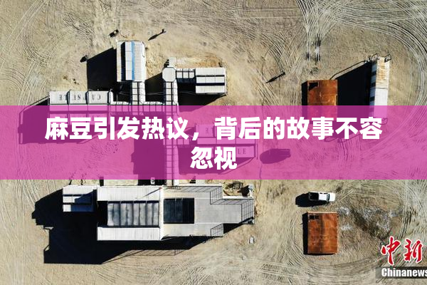 麻豆引发热议，背后的故事不容忽视