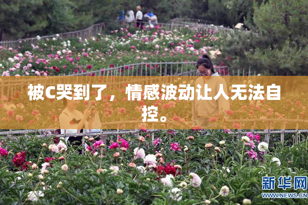被C哭到了，情感波动让人无法自控。