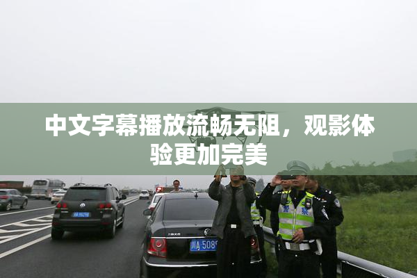 中文字幕播放流畅无阻，观影体验更加完美