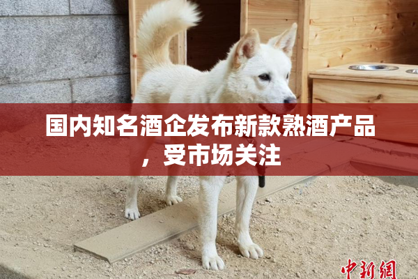 国内知名酒企发布新款熟酒产品，受市场关注