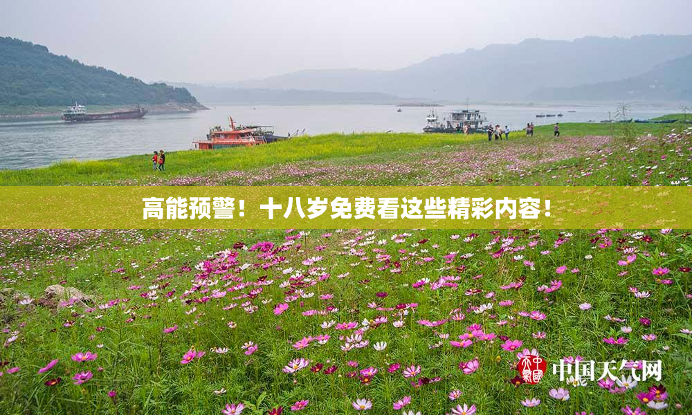 高能预警！十八岁免费看这些精彩内容！
