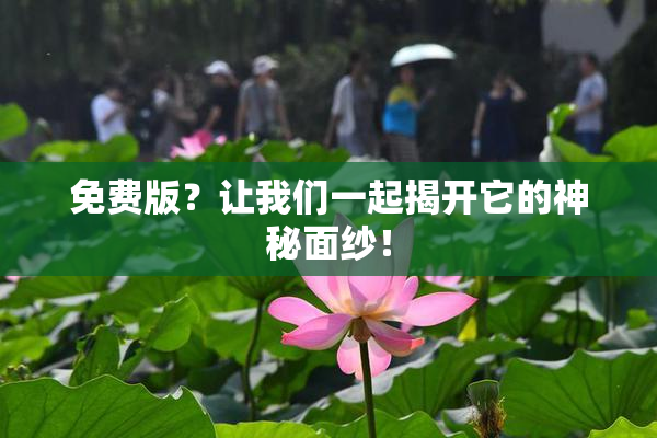 免费版？让我们一起揭开它的神秘面纱！