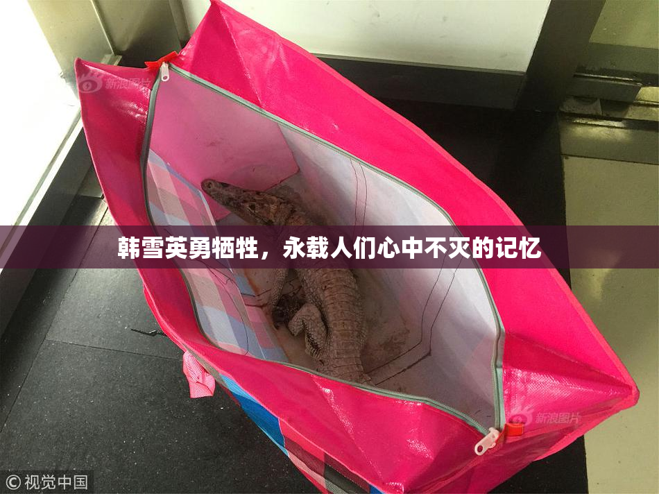 韩雪英勇牺牲，永载人们心中不灭的记忆