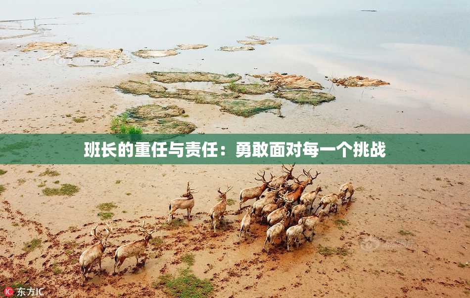 班长的重任与责任：勇敢面对每一个挑战