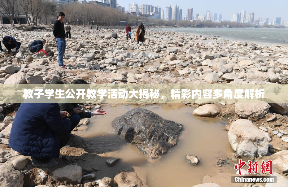 教子学生公开教学活动大揭秘，精彩内容多角度解析