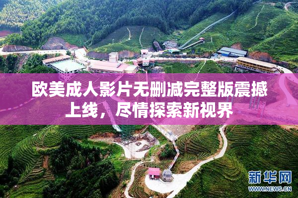 欧美成人影片无删减完整版震撼上线，尽情探索新视界