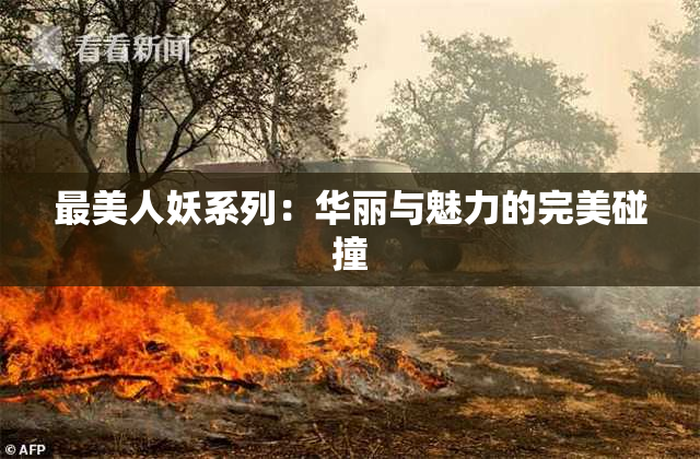 最美人妖系列：华丽与魅力的完美碰撞