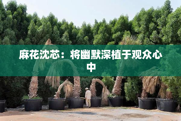 麻花沈芯：将幽默深植于观众心中