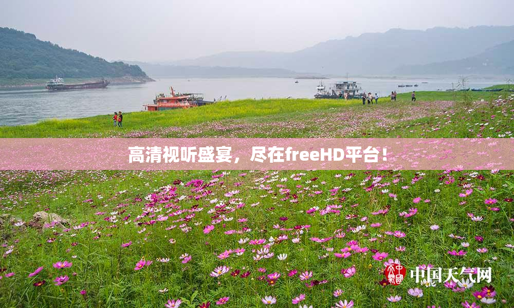 高清视听盛宴，尽在freeHD平台！