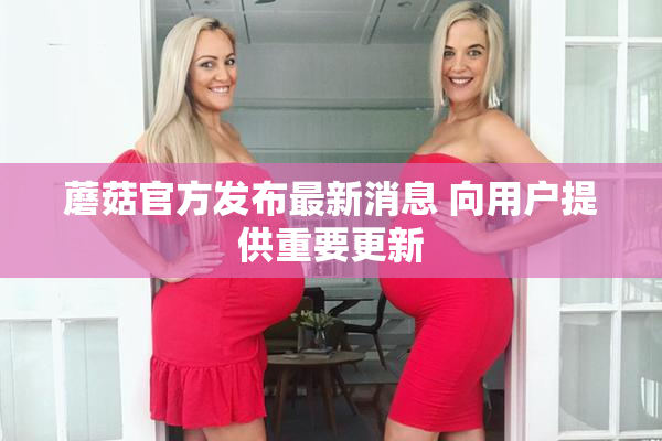 蘑菇官方发布最新消息 向用户提供重要更新