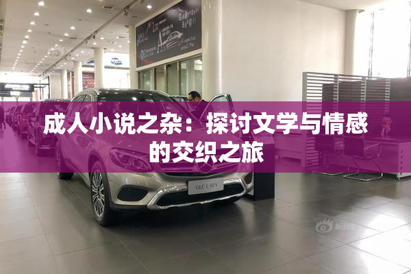 成人小说之杂：探讨文学与情感的交织之旅