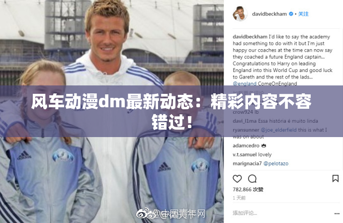风车动漫dm最新动态：精彩内容不容错过！