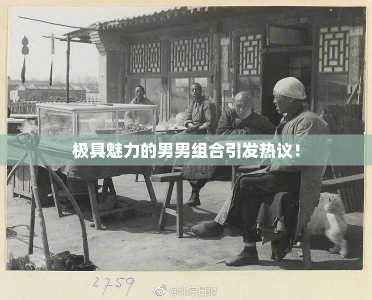 极具魅力的男男组合引发热议！
