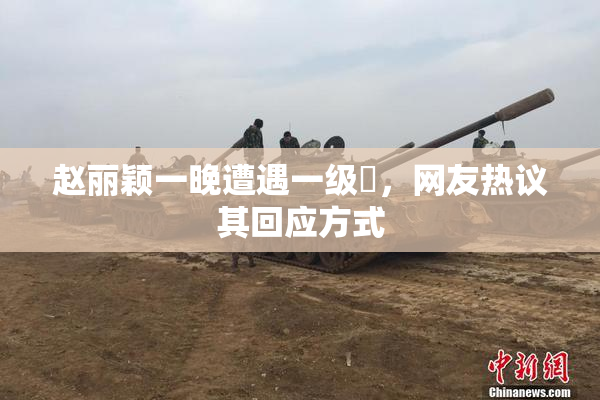 赵丽颖一晚遭遇一级婬，网友热议其回应方式