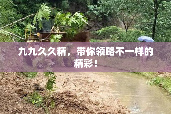 九九久久精，带你领略不一样的精彩！