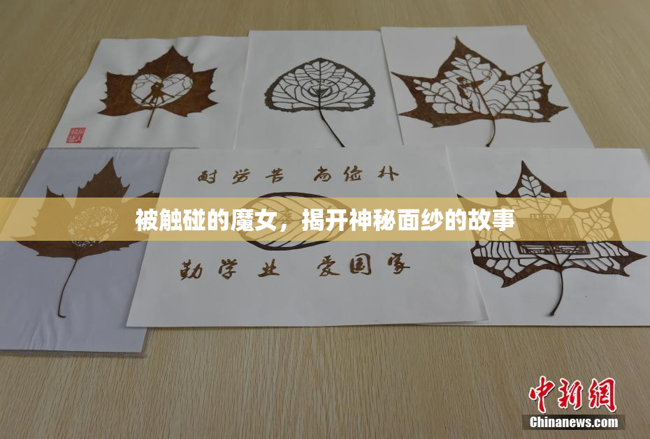 被触碰的魔女，揭开神秘面纱的故事