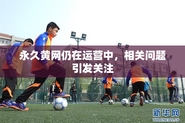 永久黄网仍在运营中，相关问题引发关注