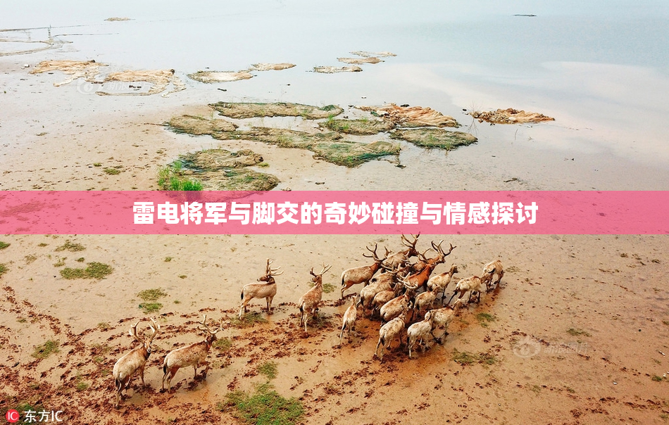 雷电将军与脚交的奇妙碰撞与情感探讨