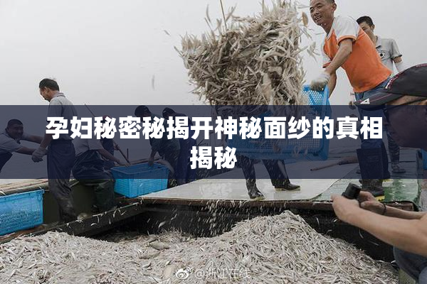 孕妇秘密秘揭开神秘面纱的真相揭秘