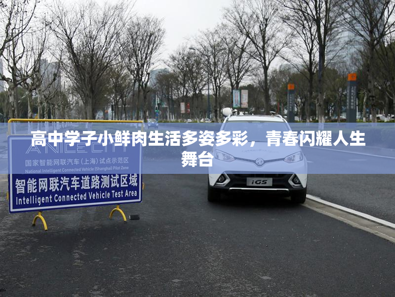 高中学子小鲜肉生活多姿多彩，青春闪耀人生舞台