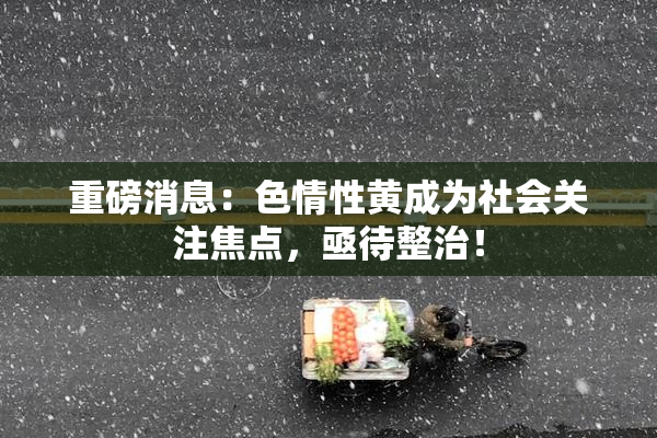 重磅消息：色情性黄成为社会关注焦点，亟待整治！