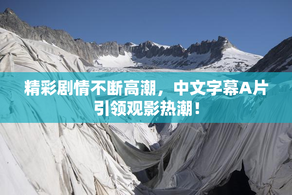精彩剧情不断高潮，中文字幕A片引领观影热潮！