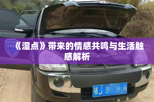 《湿点》带来的情感共鸣与生活触感解析