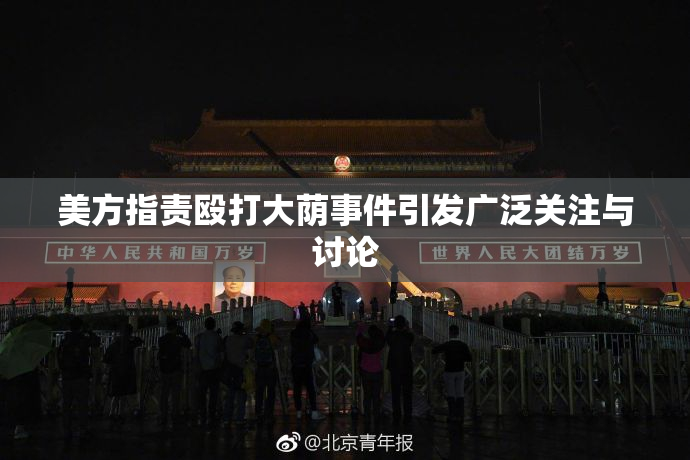 美方指责殴打大荫事件引发广泛关注与讨论