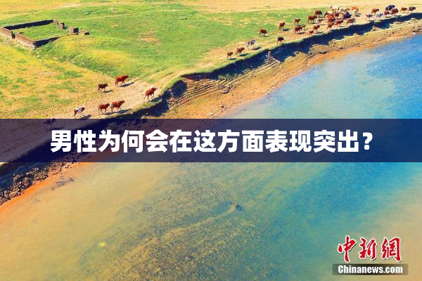 男性为何会在这方面表现突出？