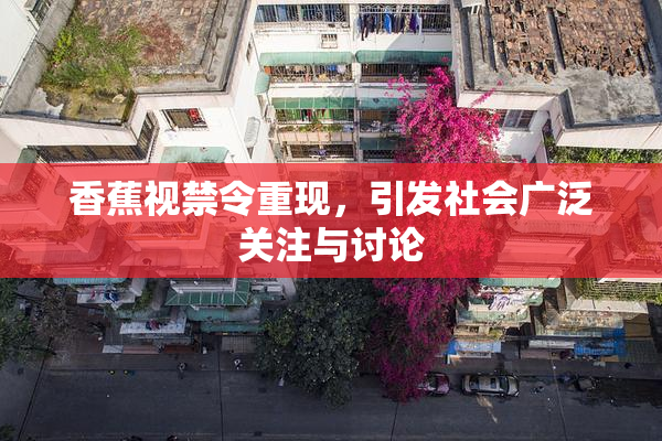 香蕉视禁令重现，引发社会广泛关注与讨论