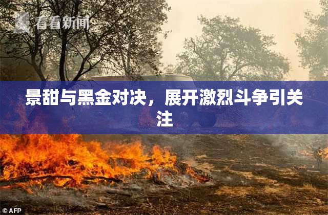 景甜与黑金对决，展开激烈斗争引关注