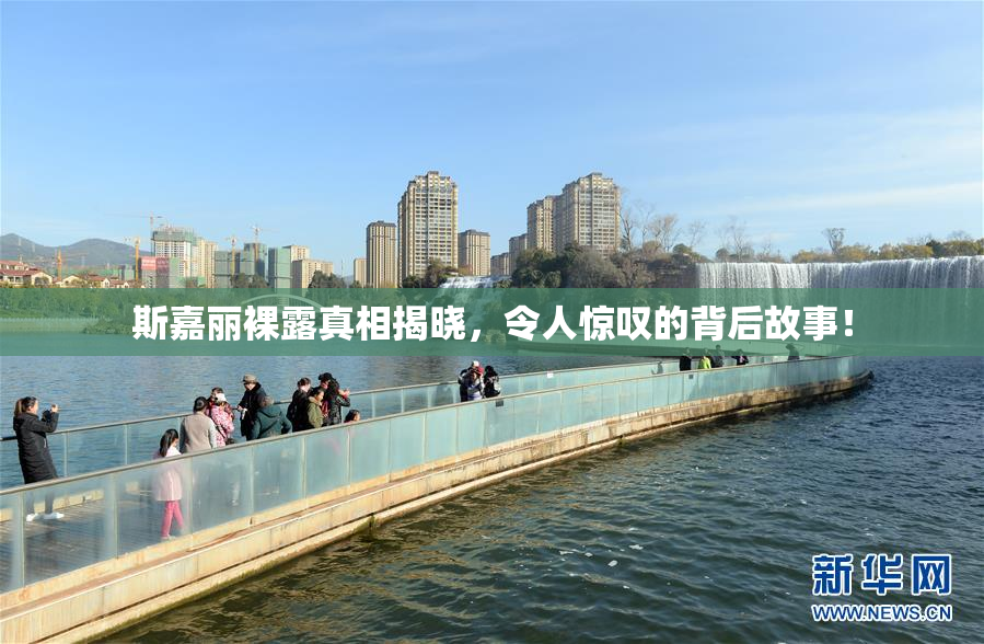 斯嘉丽裸露真相揭晓，令人惊叹的背后故事！