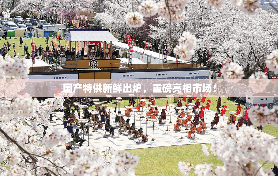 国产特供新鲜出炉，重磅亮相市场！