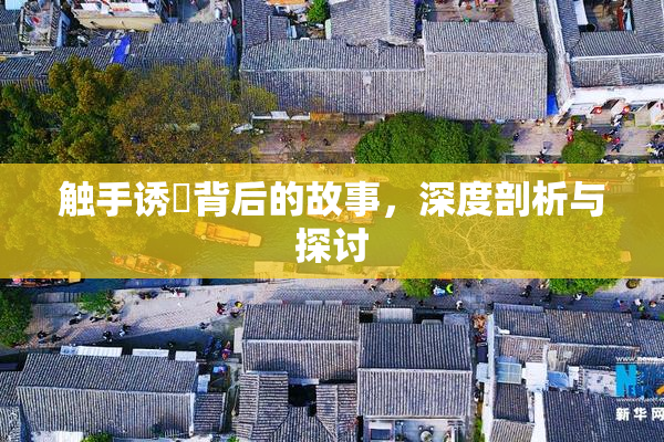 触手诱奷背后的故事，深度剖析与探讨