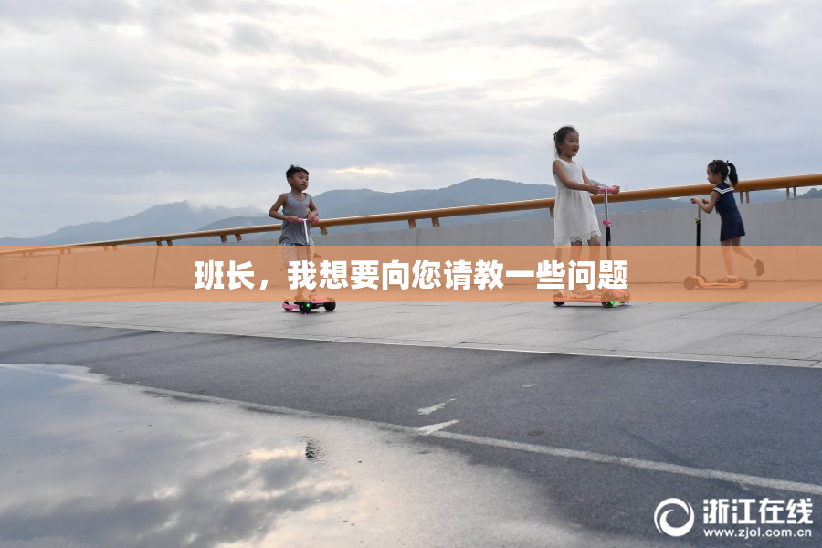班长，我想要向您请教一些问题