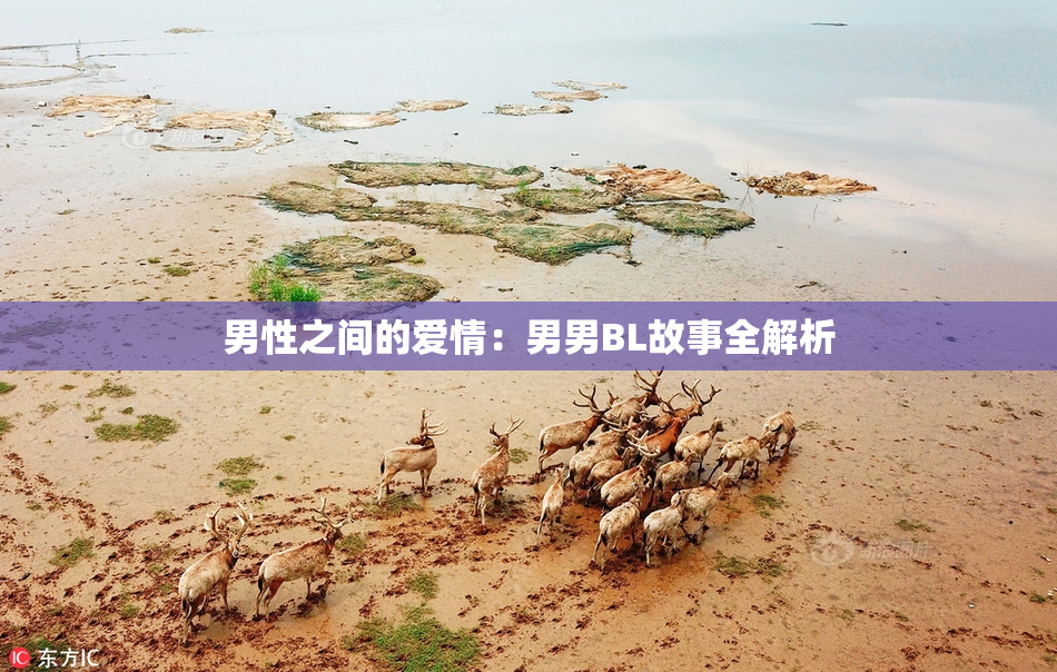 男性之间的爱情：男男BL故事全解析