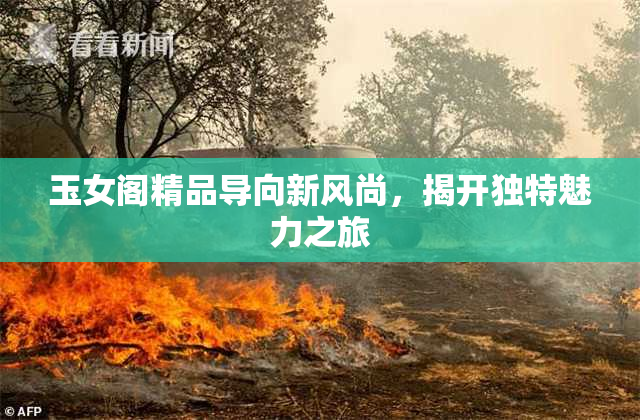 玉女阁精品导向新风尚，揭开独特魅力之旅