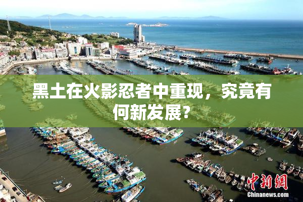 黑土在火影忍者中重现，究竟有何新发展？