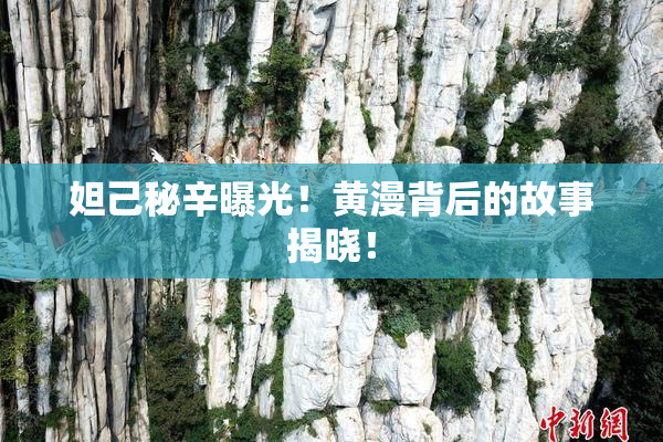 妲己秘辛曝光！黄漫背后的故事揭晓！